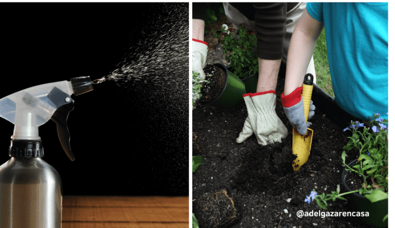4 sprays pulverizadores caseros para eliminar las plagas de tu jardín