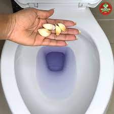 Truco casero: Un diente de ajo te ayuda a mantener el baño limpio